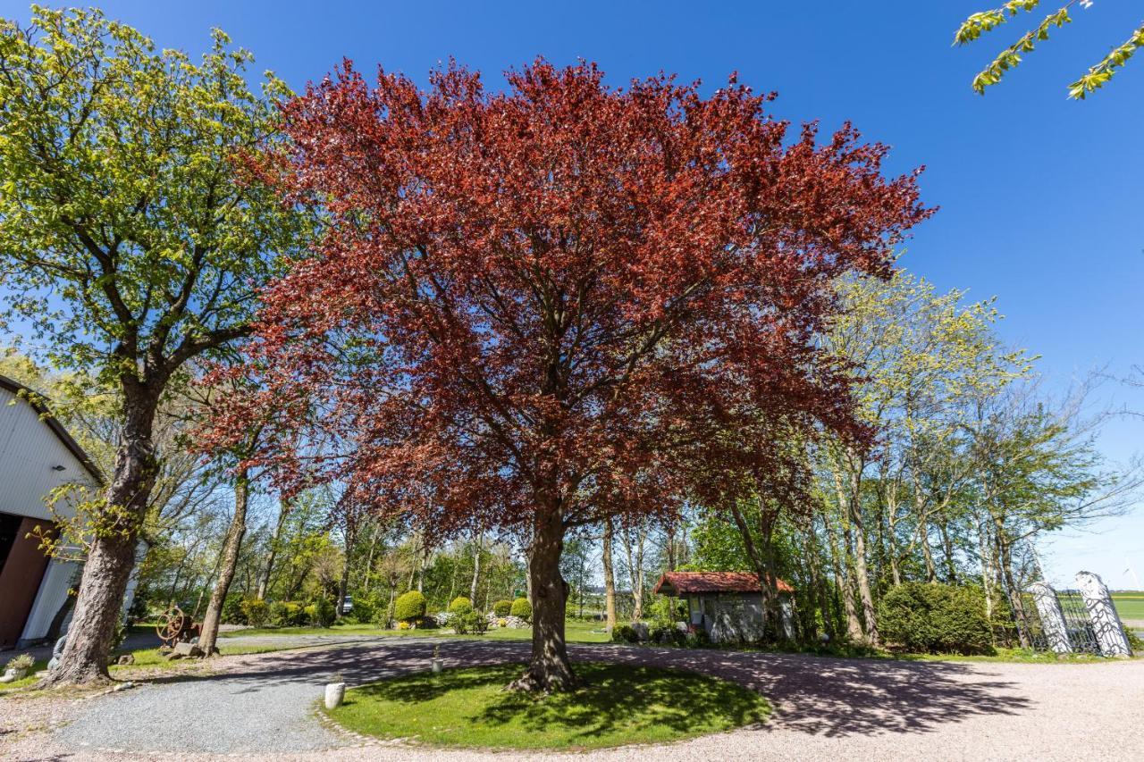 Denkerhof Ferienwohnung Sodalith Reußenköge 外观 照片